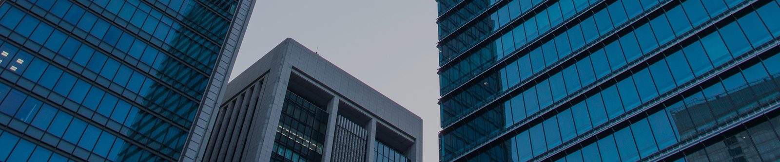 China Shenzhen Xiaohongbao Technology Co., Ltd. Profiel van het bedrijf 